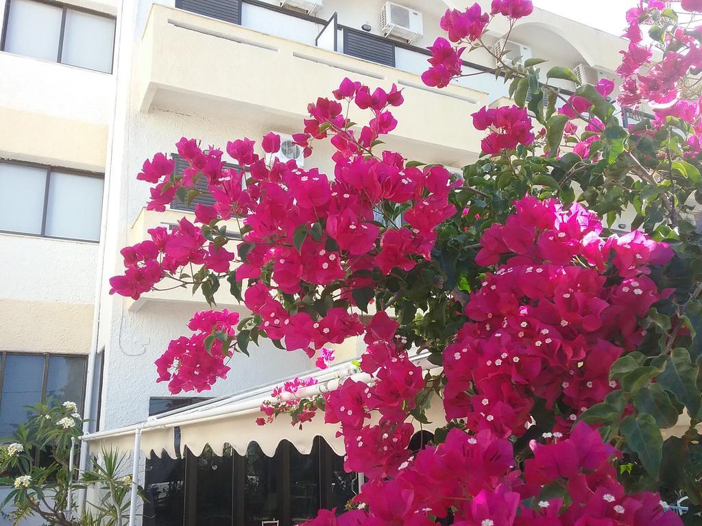 Esperides Hotel Ierápetra Exterior foto